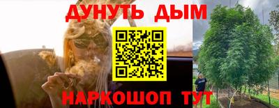 гидра Ивантеевка