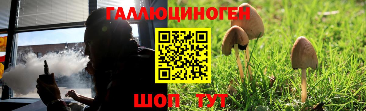Галлюциногенные грибы Psilocybe  Вход с VPN  Галлюциногенные грибы мухоморы  Саянск 