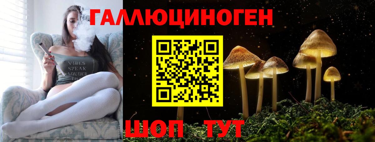 Галлюциногенные грибы GOLDEN TEACHER Саянск